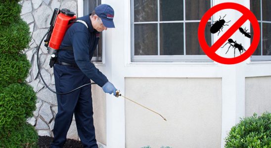 Akçaabat Kene İlaçlama böcek ilaçlama ve haşere kontrolü — ilaclama-tr.com